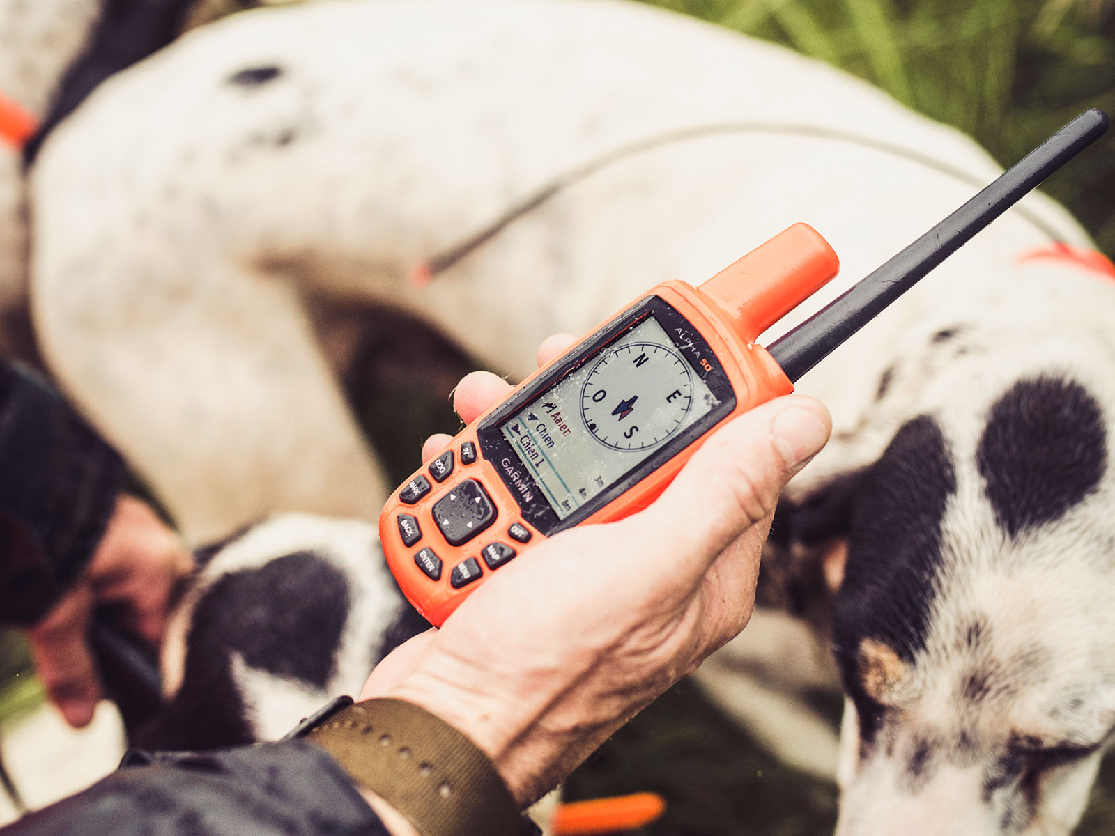 Garmin Alpha 50 Test