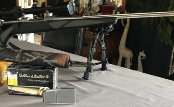 Sako 85 Finnlight Test