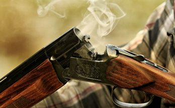 Bästa hagelbocken 2020