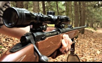 Bästa jaktvapnet 2020