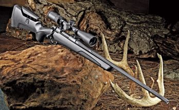 Bästa älgstudsaren