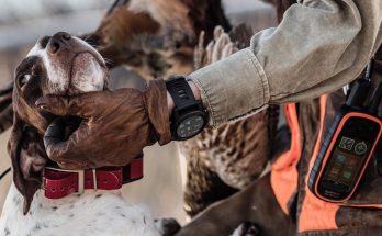 Garmin Klocka Hundpejl