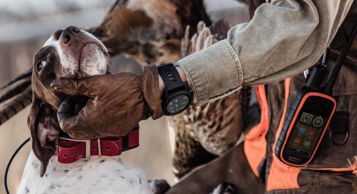 Garmin Klocka Hundpejl