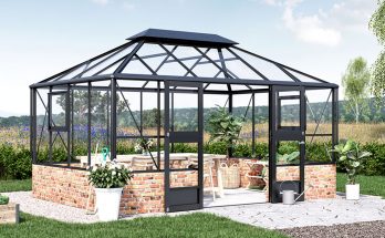 Juliana Grand Oase Mur (Stadigt och stormsäkert växthus på mur)