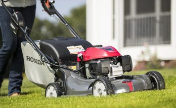 Bästa självgående gräsklipparen (Bäst i test)