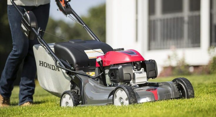 Bästa självgående gräsklipparen (Bäst i test)