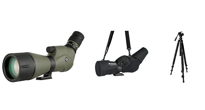 Vanguard Endeavour XF 20-60x80 A tubkikarpaket (Billig fågelkikare på stativ)